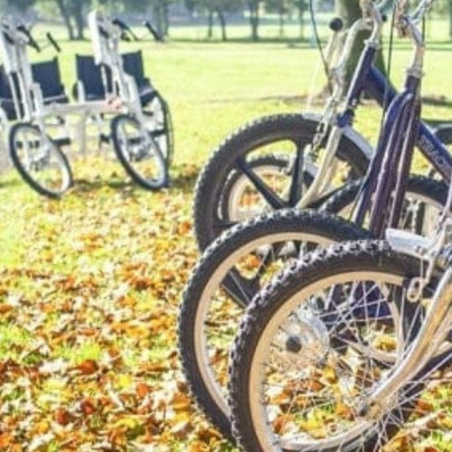 Line of bicycles thumbnail